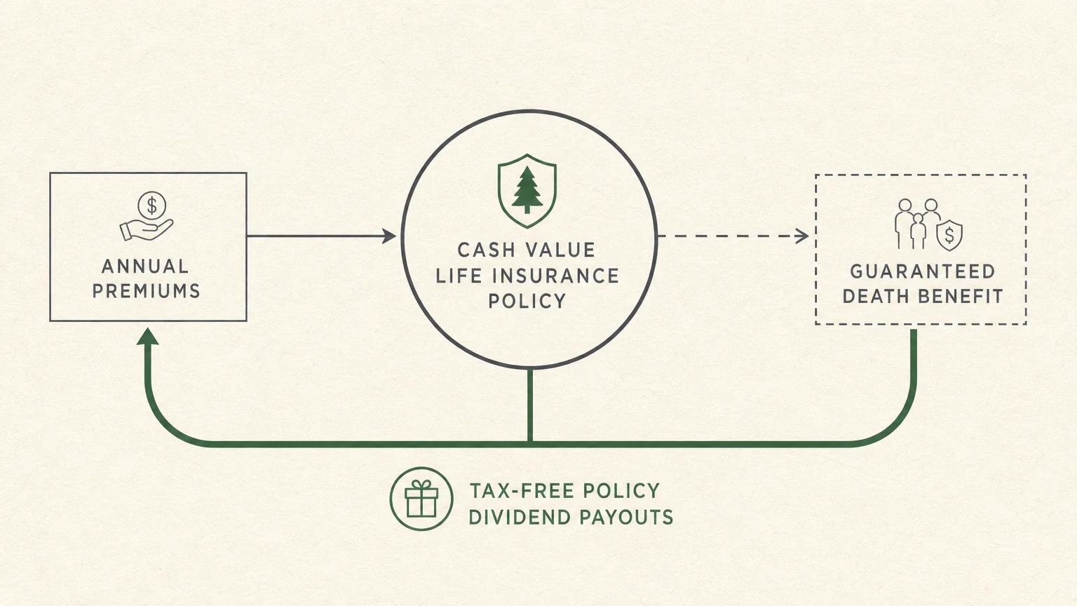 A minimalist flowchart illustrating the flow of cash value life insurance premiums, growth, and dividend payouts.