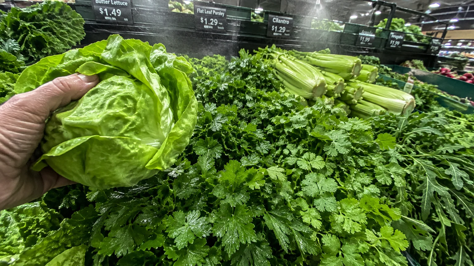 A shopper holding a head of butter lettuce above misted display bins filled with fresh parsley, cilantro, and celery.